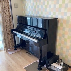 【ネット決済】ディアパソン  ピアノ  125-M5