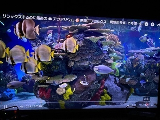 【今週廃棄】 50型 4K対応ハイビジョンLED液晶テレビ HJ50N5000 ハイセンス