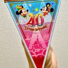 ディズニー40周年ドリームガーランド✨【限定品】
