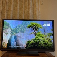 テレビ　50インチ　Panasonic VIERA