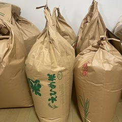 ヒノヒカリ 10kg～30kg