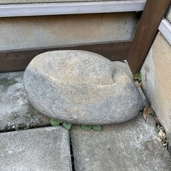 大きい石