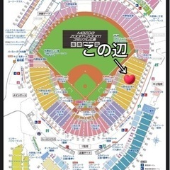 【本日中　格安お譲り　５枚】カープチケット　8/27(日)  駐車場付き 本日中 格安お譲り 5枚】カープチケット 8/27(日) 駐車場付き