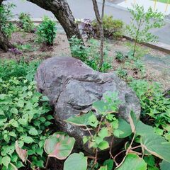【無料】素敵な日本庭園を造る庭石