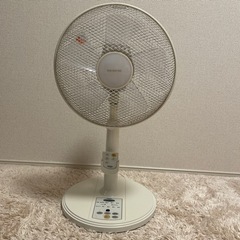 【決まりました】ゼピール扇風機