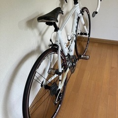 ロードバイク カーボン ルック カンパ ちょっと値引きしました (おまけ