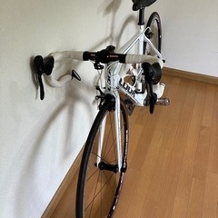 ロードバイク カーボン ルック カンパ ちょっと値引きしました (おまけ 