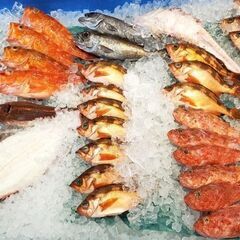 梅田　お魚の販売