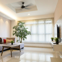 No8127 プレミアム光触媒フェイクグリーン 「自然な樹形 ワイルド・ベンジャミン 高さ210cm 幅145cm 奥行130cm」