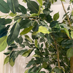 No8127 プレミアム光触媒フェイクグリーン 「自然な樹形 ワイルド