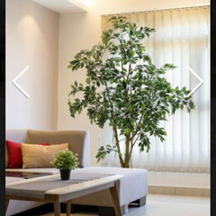 No8127 プレミアム光触媒フェイクグリーン 「自然な樹形 ワイルド・ベンジャミン 高さ210cm 幅145cm 奥行130cm」