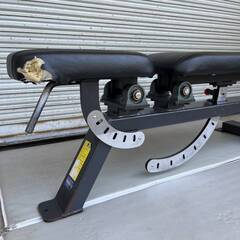 オンライン通販 Think Fitness フィットネス パワービルダー