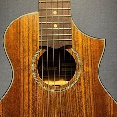 アイバニーズ アコースティックギターEWP14WP