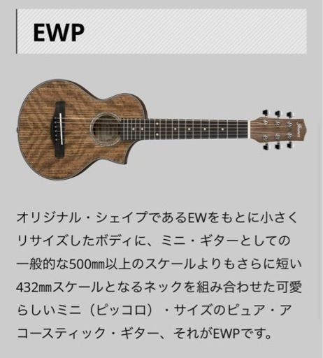 アイバニーズ　アコースティックギターEWP14WP