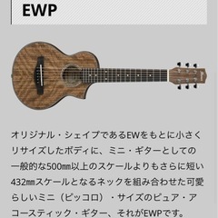 アイバニーズ アコースティックギターEWP14WP
