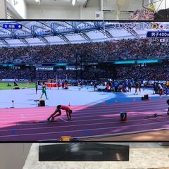 ▼値下げ▼テレビ 55型 2017年 LG OLED55B6P...