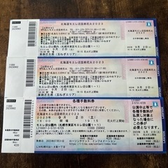 モエレ沼芸術花火2023チケット2枚