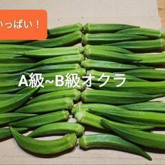【野菜】オクラ　サイズSMセット　400g　約40~50本セット