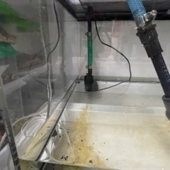 値下げ 900×600×450 水槽セット