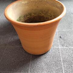 茶色の植木鉢