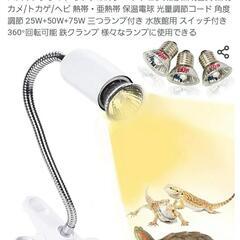 【新品】リクガメ飼育セット