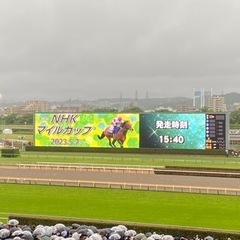 競馬仲間募集