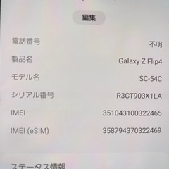 GALAXY Zfilp4 128GB