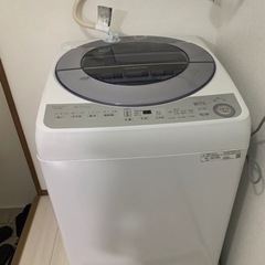 2019年式洗濯機