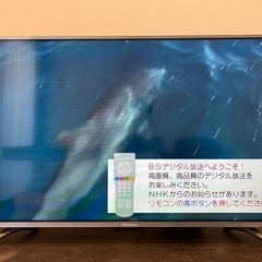 Hisense ハイセンス 液晶テレビ 40インチ HS40K225