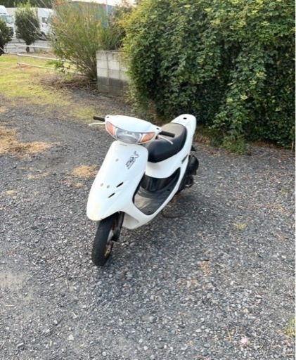 620.  動画あり　ホンダ　ライブディオZX仕様　原付　バイク　50cc   車体　埼玉