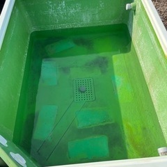 活魚イケス　貯水　コンテナ　ジャンボックス