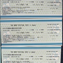 お値下げ中⭐︎The Drop FESTIVAL⭐︎駐車場券つき！