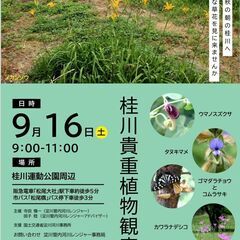 桂川貴重植物観察会