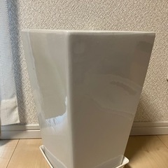 決まりました　陶器　植木鉢　観葉植物