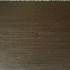 ウニコ unico アルベロ ALBERO ブックシェルフ M オープンシェルフ 本棚 飾り棚 北欧ビンテージスタイル 