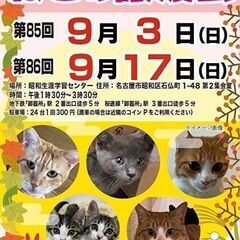 9/17(日)　猫の譲渡会　in　名古屋市昭和生涯学習センター