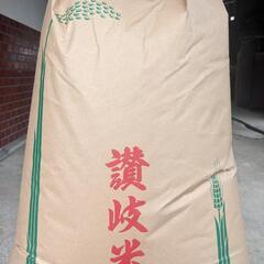 令和５年産　新米コシヒカリ（財田町産）玄米30kg