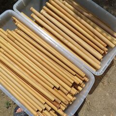 ケーナ・篠笛用の竹材（女竹・トウチク）
