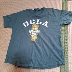 UCLA　フロッキープリント ビッグシルエットTシャツ