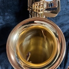 【超美品！2年使用】YAMAHAアルトサックスYAS 875EX】