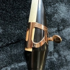 【超美品！2年使用】YAMAHAアルトサックスYAS 875EX】