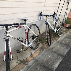 フェルトF75 サイズ51 105セット パーツグレードアップ＆セットの通販 