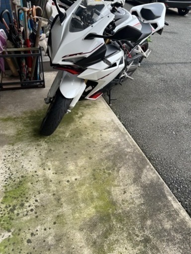 cbr250rr白