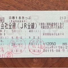 【ネット決済・配送可】青春18きっぷ 3回使用 残り2回 202...