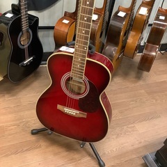 【mavis MF-200】アコースティックギター販売中！