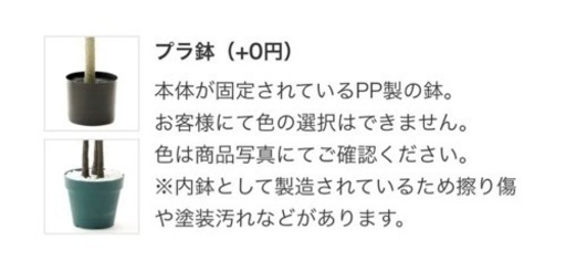 プレミアム光触媒フェイクグリーン フィカス・ウンベラータ 3枝