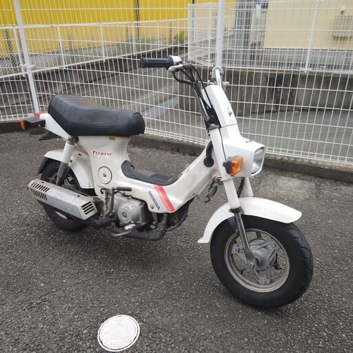 HONDA ｼｬﾘｰ角目 CF50-341****
