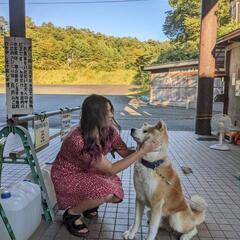 子供か大人英会話レッスン