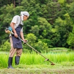 🌿草刈お任せください😊