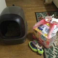 猫のトイレ【8月24日9:15AM引取限定】